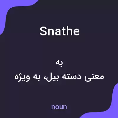 معنی snathe به فارسی معنی snathe به فارسی