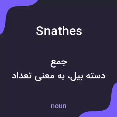 معنی snathes به فارسی معنی snathes به فارسی