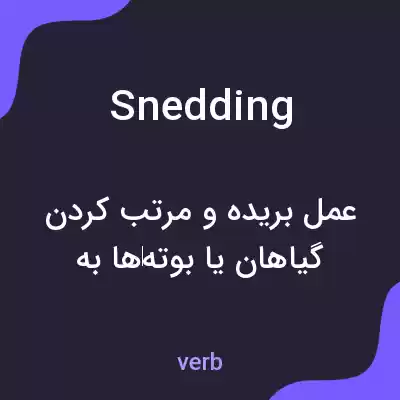 معنی snedding به فارسی معنی snedding به فارسی