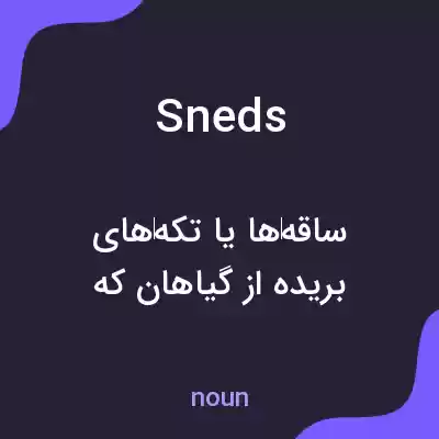 معنی sneds به فارسی