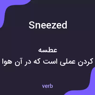 معنی sneezed به فارسی