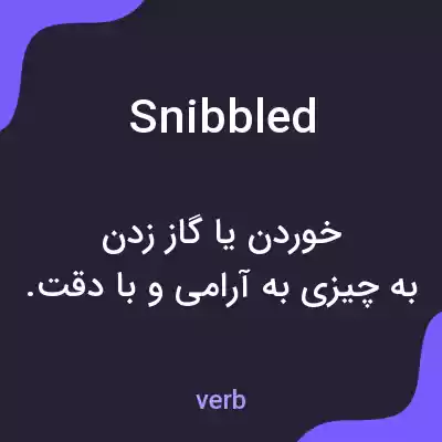 معنی snibbled به فارسی معنی snibbled به فارسی