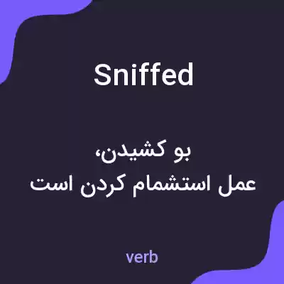 معنی sniffed به فارسی معنی sniffed به فارسی