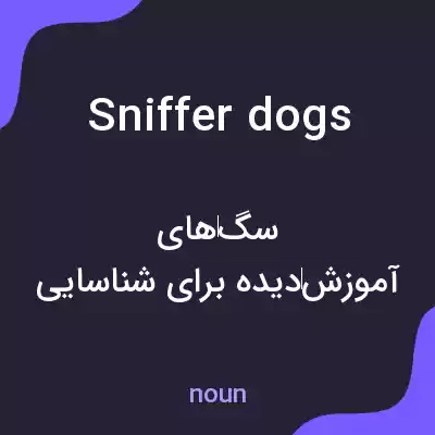معنی sniffer dogs به فارسی معنی sniffer dogs به فارسی