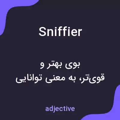 معنی sniffier به فارسی معنی sniffier به فارسی