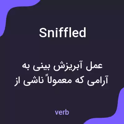 معنی sniffled به فارسی معنی sniffled به فارسی