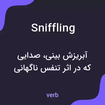 معنی sniffling به فارسی معنی sniffling به فارسی