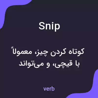 معنی snip به فارسی معنی snip به فارسی