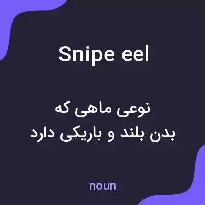 معنی snipe eel به فارسی معنی snipe eel به فارسی