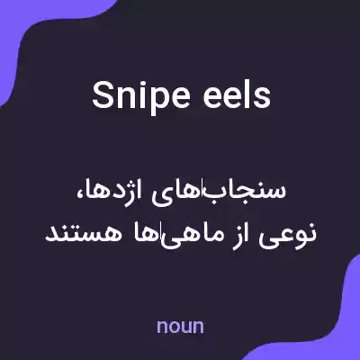 معنی snipe eels به فارسی معنی snipe eels به فارسی