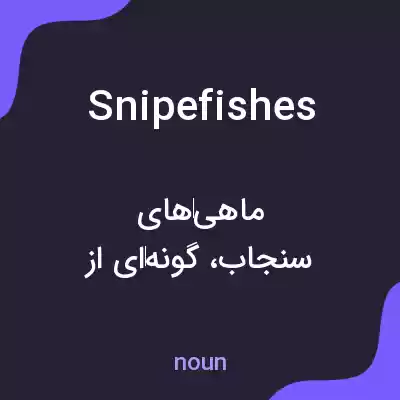 معنی snipefishes به فارسی معنی snipefishes به فارسی