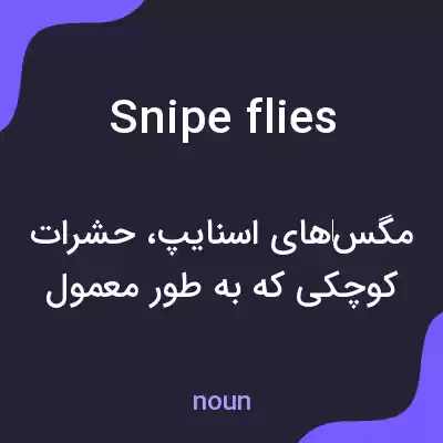 معنی snipe flies به فارسی معنی snipe flies به فارسی