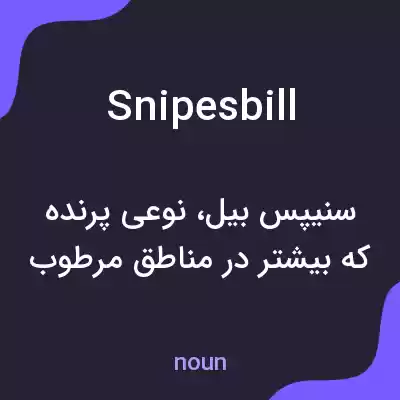 معنی snipesbill به فارسی معنی snipesbill به فارسی