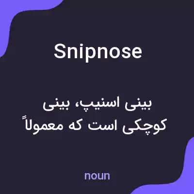 معنی snipnose به فارسی معنی snipnose به فارسی