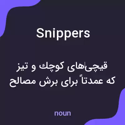 معنی snippers به فارسی معنی snippers به فارسی
