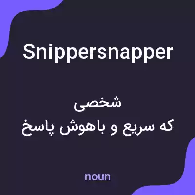معنی snippersnapper به فارسی معنی snippersnapper به فارسی