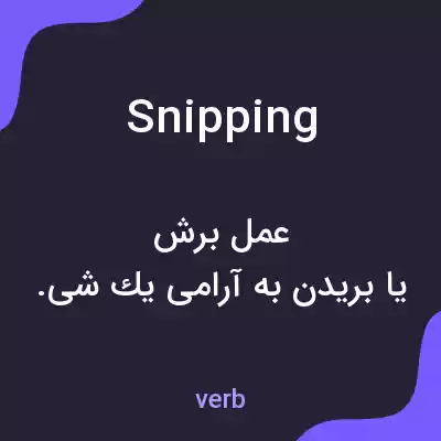 معنی snipping به فارسی معنی snipping به فارسی