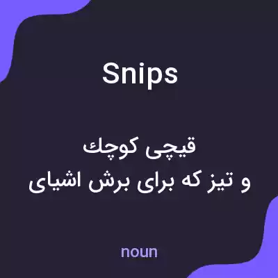معنی snips به فارسی معنی snips به فارسی