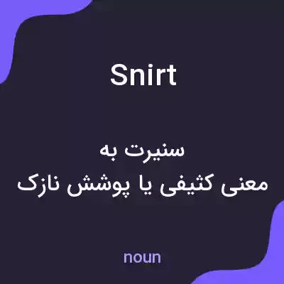 معنی snirt به فارسی معنی snirt به فارسی