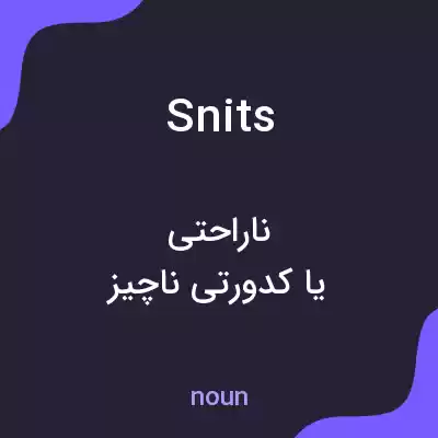 معنی snits به فارسی معنی snits به فارسی