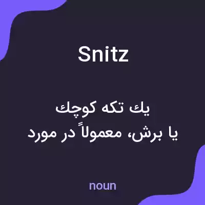 معنی snitz به فارسی معنی snitz به فارسی