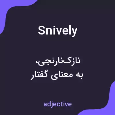 معنی snively به فارسی معنی snively به فارسی