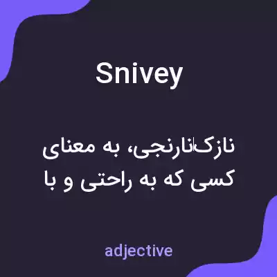 معنی snivey به فارسی معنی snivey به فارسی
