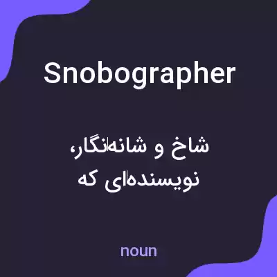 معنی snobographer به فارسی معنی snobographer به فارسی