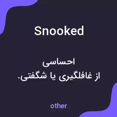 معنی snooked به فارسی معنی snooked به فارسی