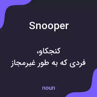معنی snooper به فارسی معنی snooper به فارسی