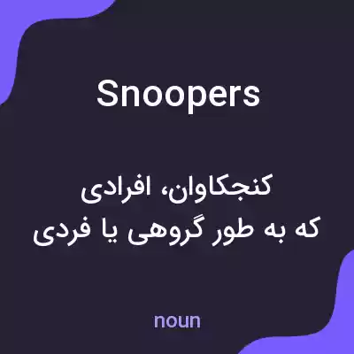معنی snoopers به فارسی معنی snoopers به فارسی