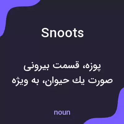 معنی snoots به فارسی معنی snoots به فارسی