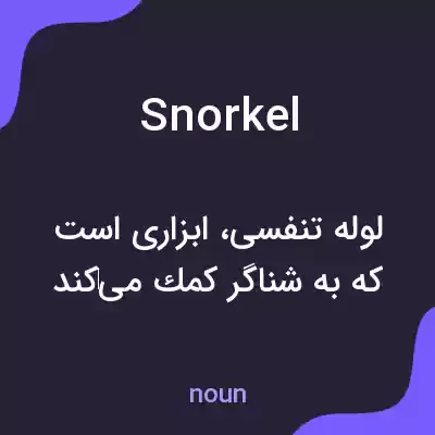 معنی snorkel به فارسی