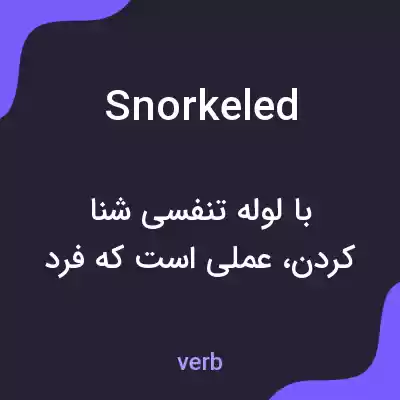 معنی snorkeled به فارسی معنی snorkeled به فارسی