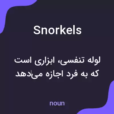 معنی snorkels به فارسی معنی snorkels به فارسی