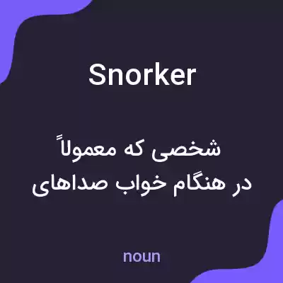 معنی snorker به فارسی