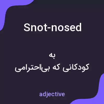 معنی snot-nosed به فارسی معنی snot-nosed به فارسی