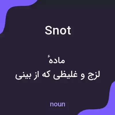 معنی snot به فارسی معنی snot به فارسی
