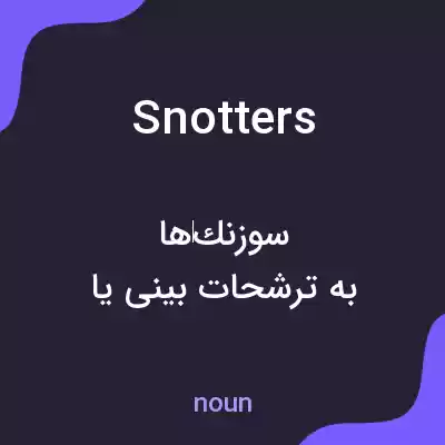 معنی snotters به فارسی معنی snotters به فارسی