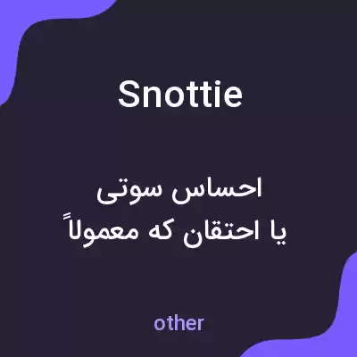 معنی snottie به فارسی معنی snottie به فارسی