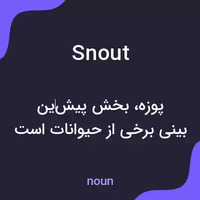 معنی snout به فارسی معنی snout به فارسی