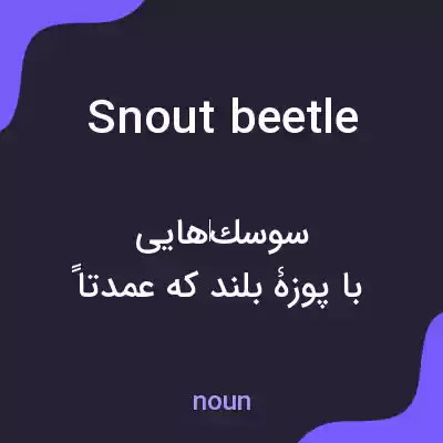 معنی snout beetle به فارسی معنی snout beetle به فارسی