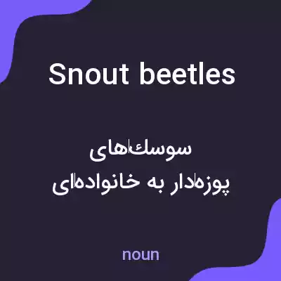 معنی snout beetles به فارسی معنی snout beetles به فارسی