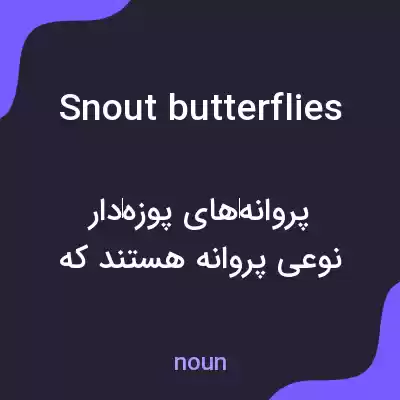 معنی snout butterflies به فارسی معنی snout butterflies به فارسی