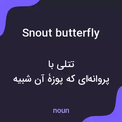 معنی snout butterfly به فارسی معنی snout butterfly به فارسی