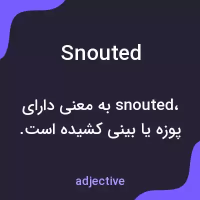 معنی snouted به فارسی معنی snouted به فارسی
