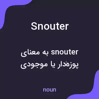 معنی snouter به فارسی معنی snouter به فارسی