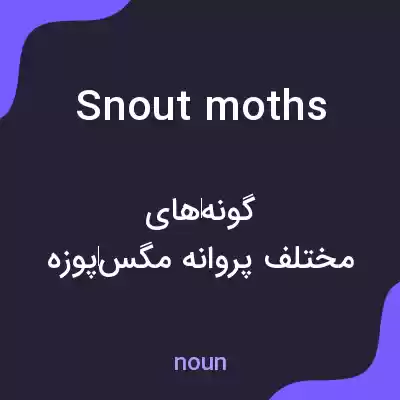 معنی snout moths به فارسی معنی snout moths به فارسی