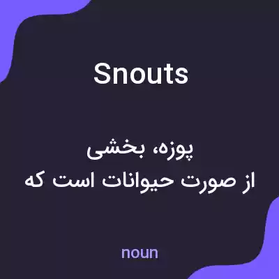 معنی snouts به فارسی