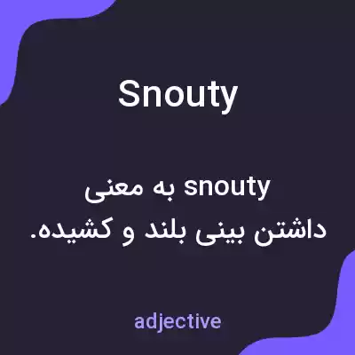 معنی snouty به فارسی معنی snouty به فارسی